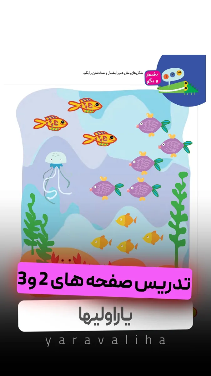 تمرین صفحه های 2 و 3